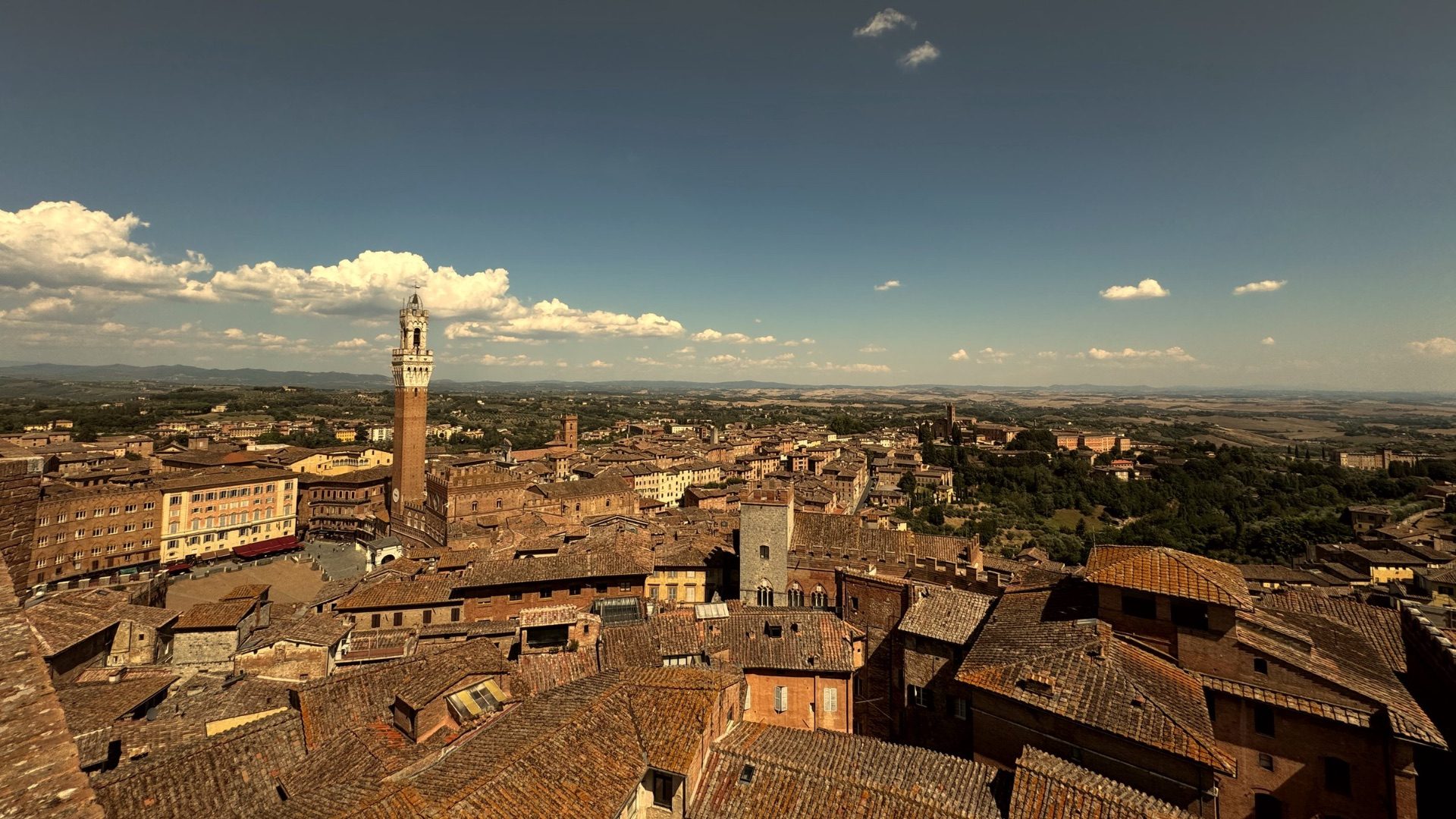 Siena skyline at golden hour — the Torre del Mangia rising over the rooftops of Piazza del Campo, with the Tuscan countryside beyond